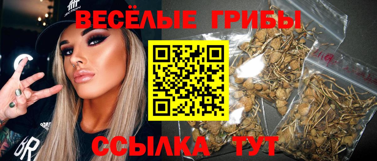 Горно-Алтайск  Галлюциногенные грибы прущие грибы  Галлюциногенные грибы MAGIC MUSHROOMS  где можно купить   Вход с VPN 