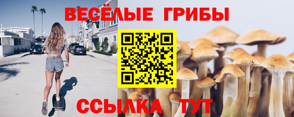Псилоцибиновые грибы MAGIC MUSHROOMS Горно-Алтайск